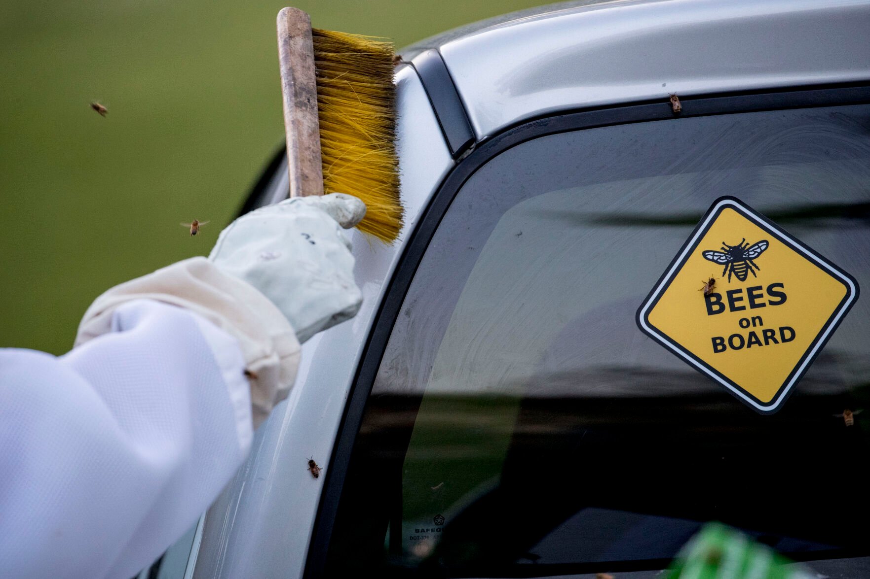 Virus Outbreak Washington Beekeepers